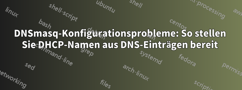 DNSmasq-Konfigurationsprobleme: So stellen Sie DHCP-Namen aus DNS-Einträgen bereit