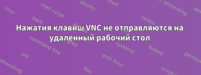 Нажатия клавиш VNC не отправляются на удаленный рабочий стол