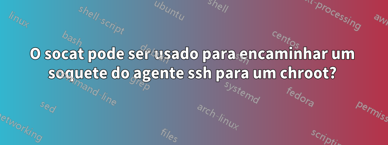 O socat pode ser usado para encaminhar um soquete do agente ssh para um chroot?