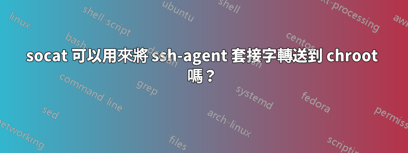 socat 可以用來將 ssh-agent 套接字轉送到 chroot 嗎？