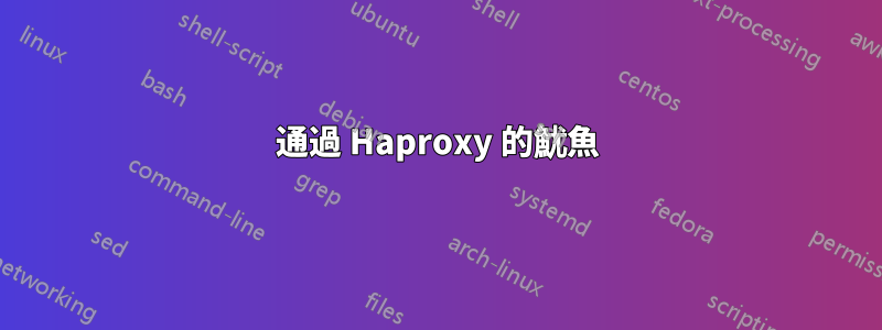 通過 Haproxy 的魷魚