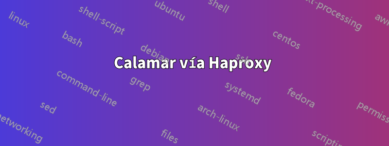 Calamar vía Haproxy