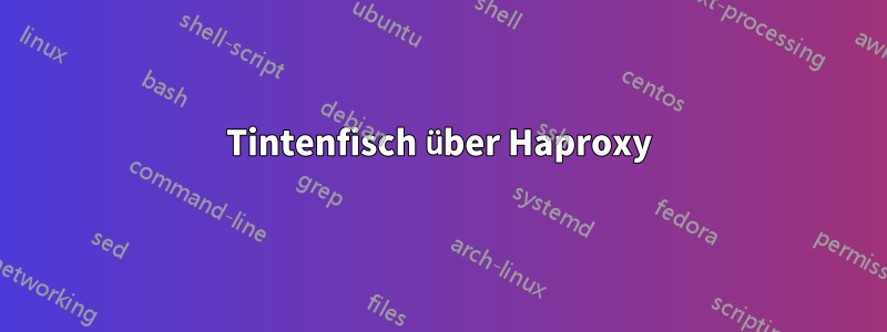Tintenfisch über Haproxy