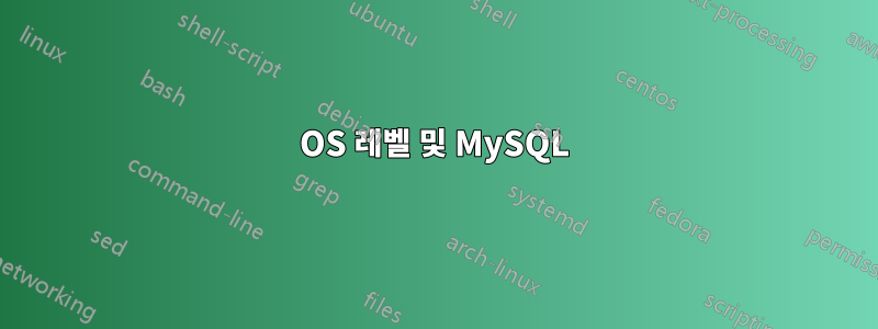 OS 레벨 및 MySQL