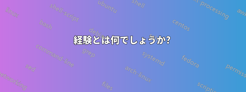 経験とは何でしょうか?