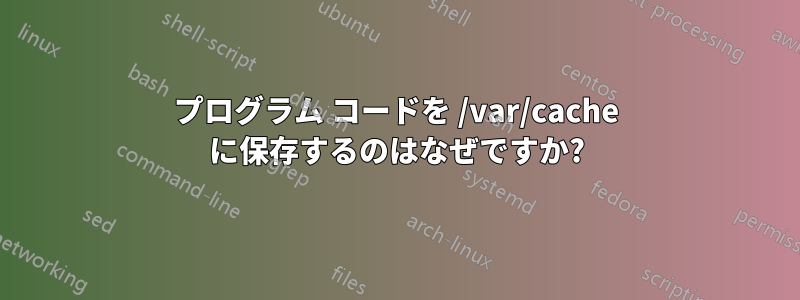 プログラム コードを /var/cache に保存するのはなぜですか?