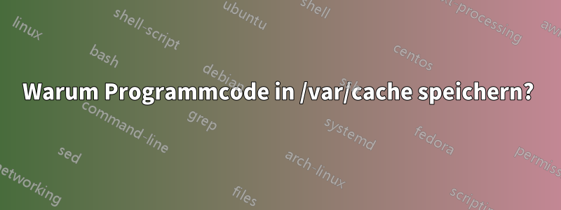 Warum Programmcode in /var/cache speichern?