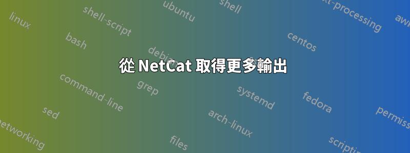 從 NetCat 取得更多輸出