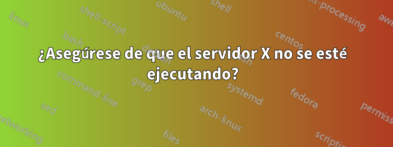 ¿Asegúrese de que el servidor X no se esté ejecutando? 