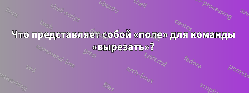 Что представляет собой «поле» для команды «вырезать»?