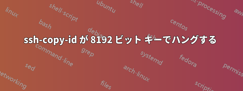 ssh-copy-id が 8192 ビット キーでハングする