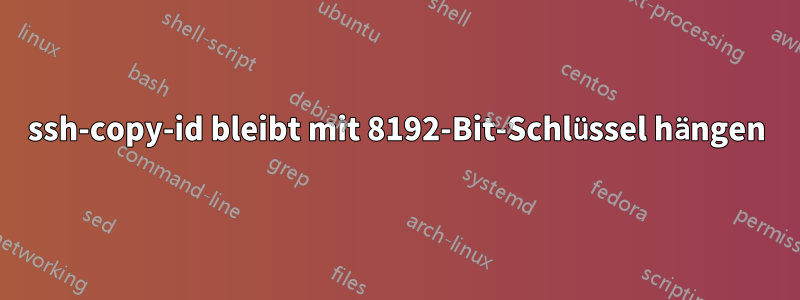 ssh-copy-id bleibt mit 8192-Bit-Schlüssel hängen