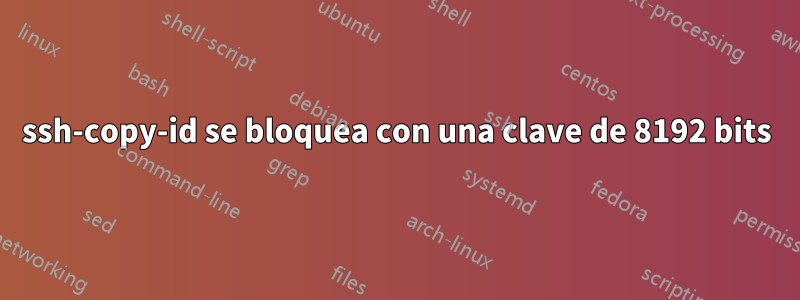 ssh-copy-id se bloquea con una clave de 8192 bits