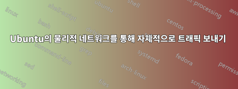 Ubuntu의 물리적 네트워크를 통해 자체적으로 트래픽 보내기
