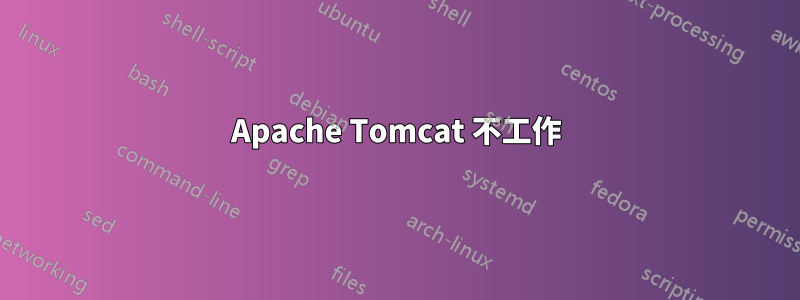Apache Tomcat 不工作