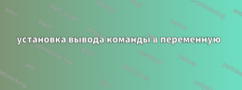установка вывода команды в переменную 