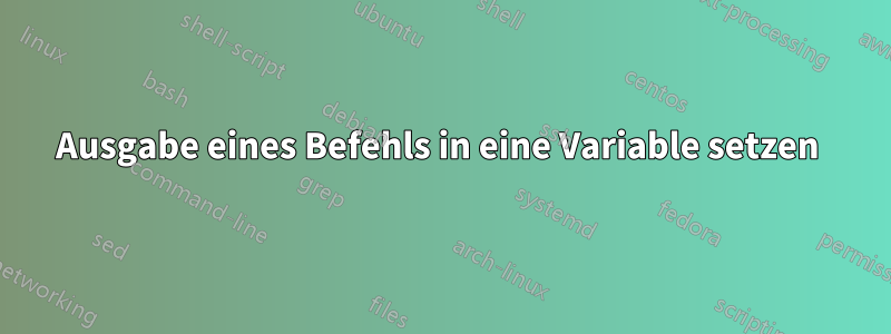 Ausgabe eines Befehls in eine Variable setzen 
