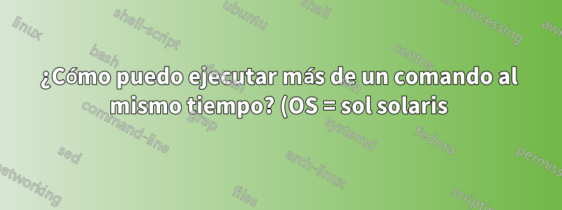 ¿Cómo puedo ejecutar más de un comando al mismo tiempo? (OS = sol solaris)