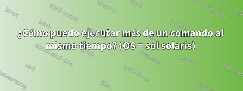 ¿Cómo puedo ejecutar más de un comando al mismo tiempo? (OS = sol solaris)