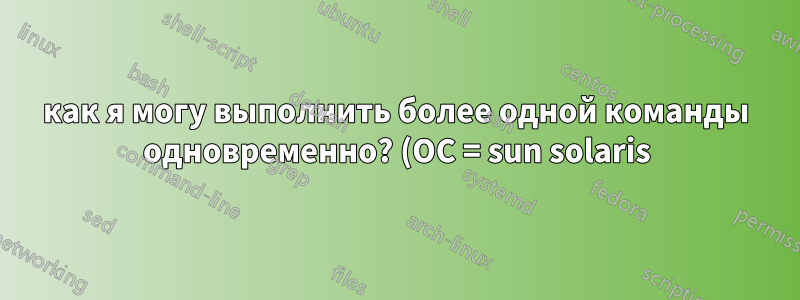 как я могу выполнить более одной команды одновременно? (ОС = sun solaris)