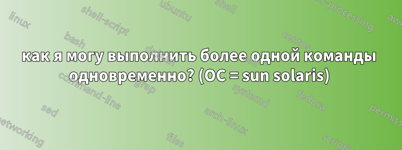 как я могу выполнить более одной команды одновременно? (ОС = sun solaris)