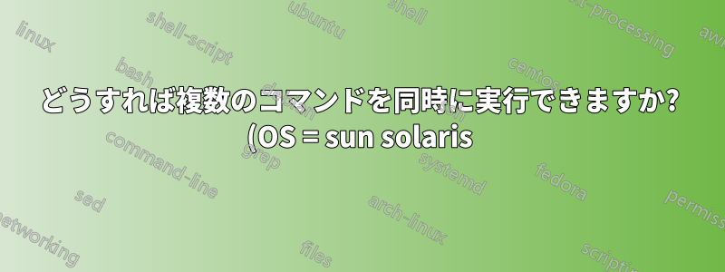 どうすれば複数のコマンドを同時に実行できますか? (OS = sun solaris)