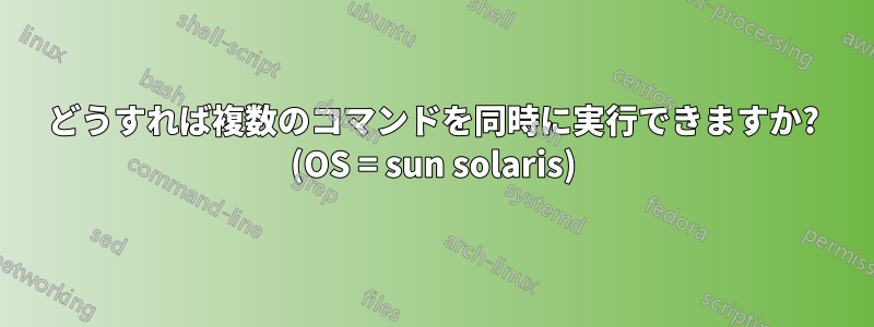 どうすれば複数のコマンドを同時に実行できますか? (OS = sun solaris)