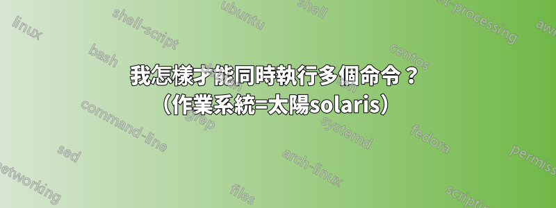我怎樣才能同時執行多個命令？ （作業系統=太陽solaris）