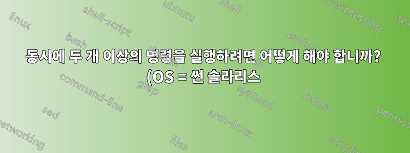 동시에 두 개 이상의 명령을 실행하려면 어떻게 해야 합니까? (OS = 썬 솔라리스)