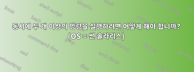 동시에 두 개 이상의 명령을 실행하려면 어떻게 해야 합니까? (OS = 썬 솔라리스)