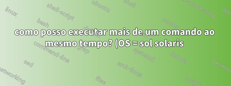 como posso executar mais de um comando ao mesmo tempo? (OS = sol solaris)