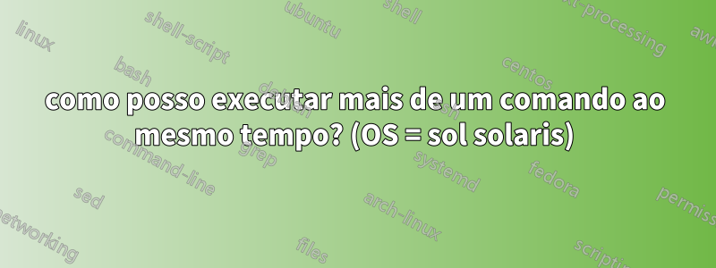 como posso executar mais de um comando ao mesmo tempo? (OS = sol solaris)