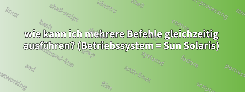 wie kann ich mehrere Befehle gleichzeitig ausführen? (Betriebssystem = Sun Solaris)