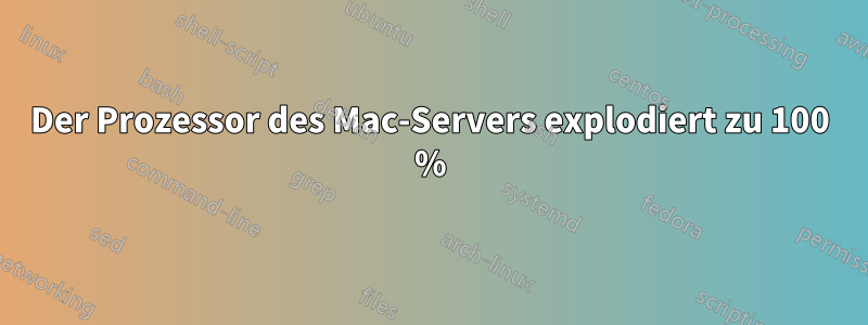 Der Prozessor des Mac-Servers explodiert zu 100 %