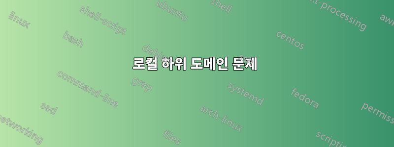로컬 하위 도메인 문제