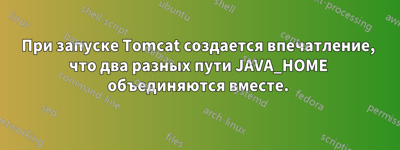 При запуске Tomcat создается впечатление, что два разных пути JAVA_HOME объединяются вместе.