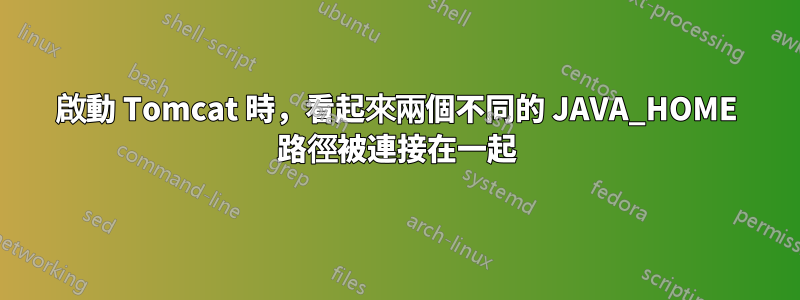 啟動 Tomcat 時，看起來兩個不同的 JAVA_HOME 路徑被連接在一起
