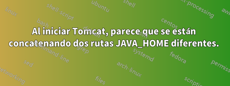 Al iniciar Tomcat, parece que se están concatenando dos rutas JAVA_HOME diferentes.