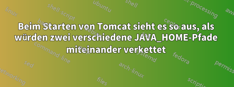 Beim Starten von Tomcat sieht es so aus, als würden zwei verschiedene JAVA_HOME-Pfade miteinander verkettet