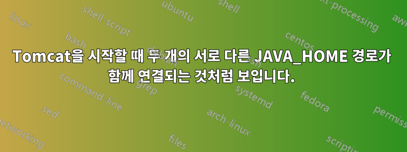 Tomcat을 시작할 때 두 개의 서로 다른 JAVA_HOME 경로가 함께 연결되는 것처럼 보입니다.