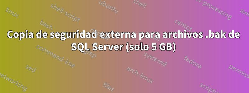 Copia de seguridad externa para archivos .bak de SQL Server (solo 5 GB)