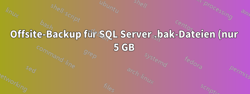 Offsite-Backup für SQL Server .bak-Dateien (nur 5 GB)