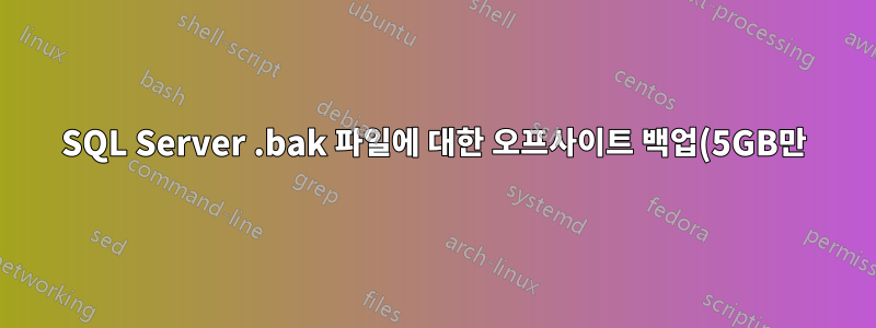 SQL Server .bak 파일에 대한 오프사이트 백업(5GB만)
