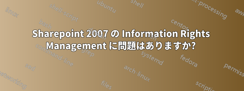 Sharepoint 2007 の Information Rights Management に問題はありますか?