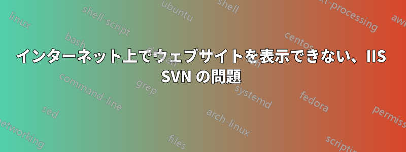 インターネット上でウェブサイトを表示できない、IIS SVN の問題