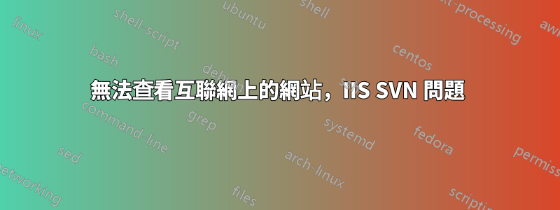 無法查看互聯網上的網站，IIS SVN 問題