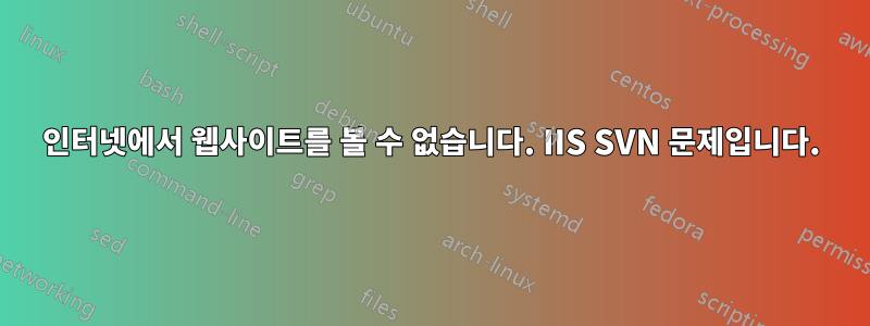 인터넷에서 웹사이트를 볼 수 없습니다. IIS SVN 문제입니다.