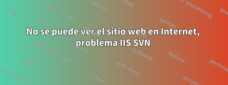No se puede ver el sitio web en Internet, problema IIS SVN