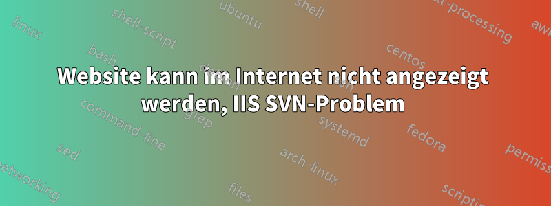 Website kann im Internet nicht angezeigt werden, IIS SVN-Problem