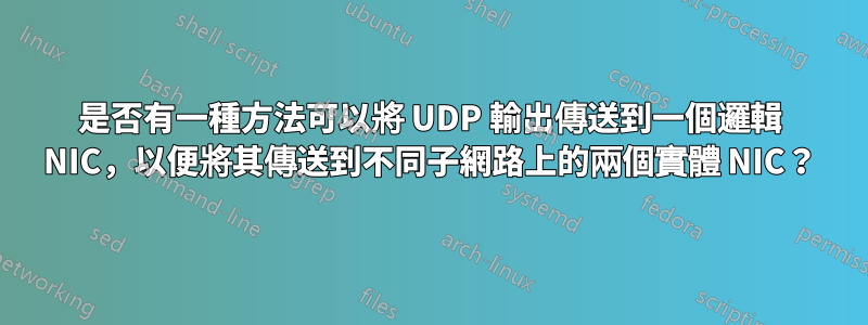 是否有一種方法可以將 UDP 輸出傳送到一個邏輯 NIC，以便將其傳送到不同子網路上的兩個實體 NIC？